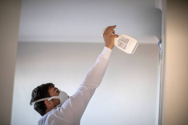 Best Mold Testing  in Westwood, KS