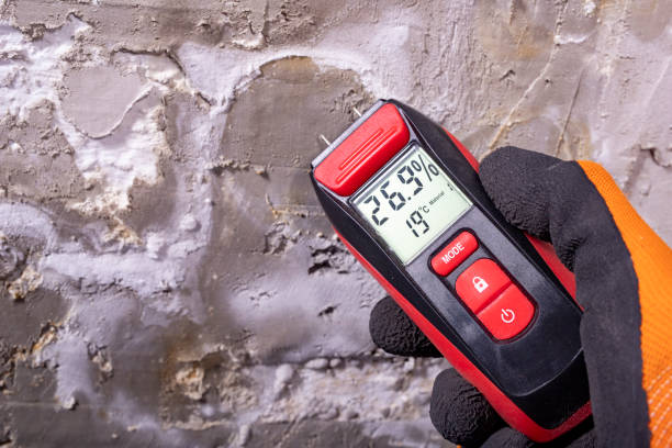 Best Crawl Space Mold Removal  in Westwood, KS