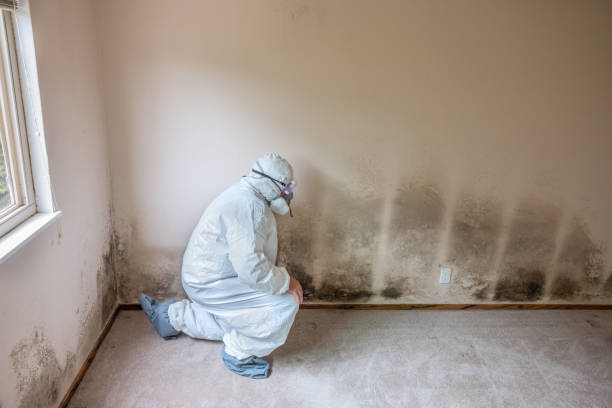 Crawl Space Mold Removal in Westwood, KS